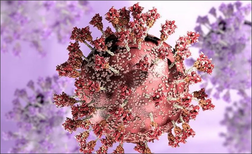 منظمة الصحة العالمية تعلن عن “متحور كورونا الأسرع انتشارا”