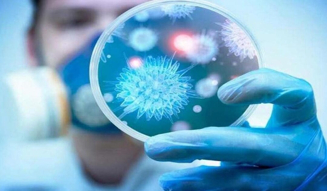 منظمة الصحة: سلالة جديدة من كورونا تنشتر في أمريكا والصين